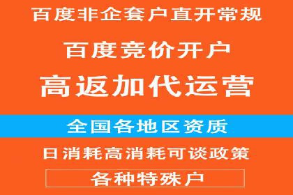 竞价广告的创意与执行：一则经典案例剖析